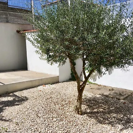 Central Ground Floor With Garden * Porto