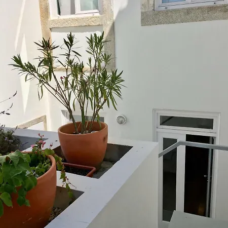Central Ground Floor With Garden Apartment Porto